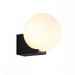 Накладной светильник Odeon Light NATURE 7124/1WA, фото 3