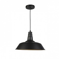 Подвесной светильник Seven Fires Kiarano WD3503/1P-BK-GD, фото 1