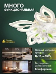 Потолочная люстра Natali Kovaltseva  LED LAMPS 81488, фото 4