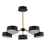 SLE6005-402-05 Светильник потолочный Черный, Золотистый/Черный LED 5*10W ВАЛЛЕ, фото 4