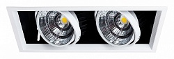 Встраиваемый светильник Arte Lamp Merga A8450PL-2WH
