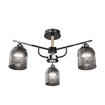 Люстра на штанге Apeyron Electrics  16-223