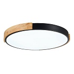 SLE201342-01 Светильник потолочный Черный, Светлое дерево/Белый LED 1*40W 3000K/4000K/6000K ДЕЛИА, фото 3