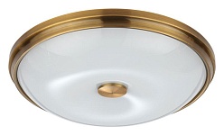 Накладной светильник Odeon Light Pelow 4956/4, фото 2