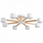 Люстра на штанге Lumion VUDI 8306/8C