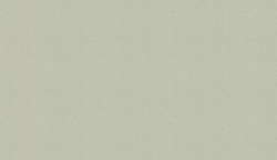 46053 Обои Zambaiti (Trussardi VI) (1*4) 10,05x1,06 винил на флизелине, фото 4