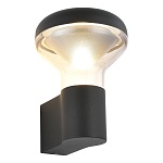 SL9541.701.01 Светильник уличный настенный ST-Luce темно-серый LED 1*6W 3000K РОНИ, фото 3