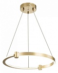 Подвесной светильник Indigo Circolato 14015/1P Gold, фото 3
