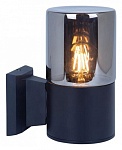Светильник на штанге Arte Lamp Wazn A6218AL-1BK, фото 2