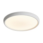 Потолочный светильник Freya FR6211CL-L24W, фото 1
