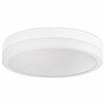Накладной светильник Ambrella Light FA FA9431