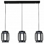 Подвесной светильник Indigo Capsula 14027/6P Black, фото 1